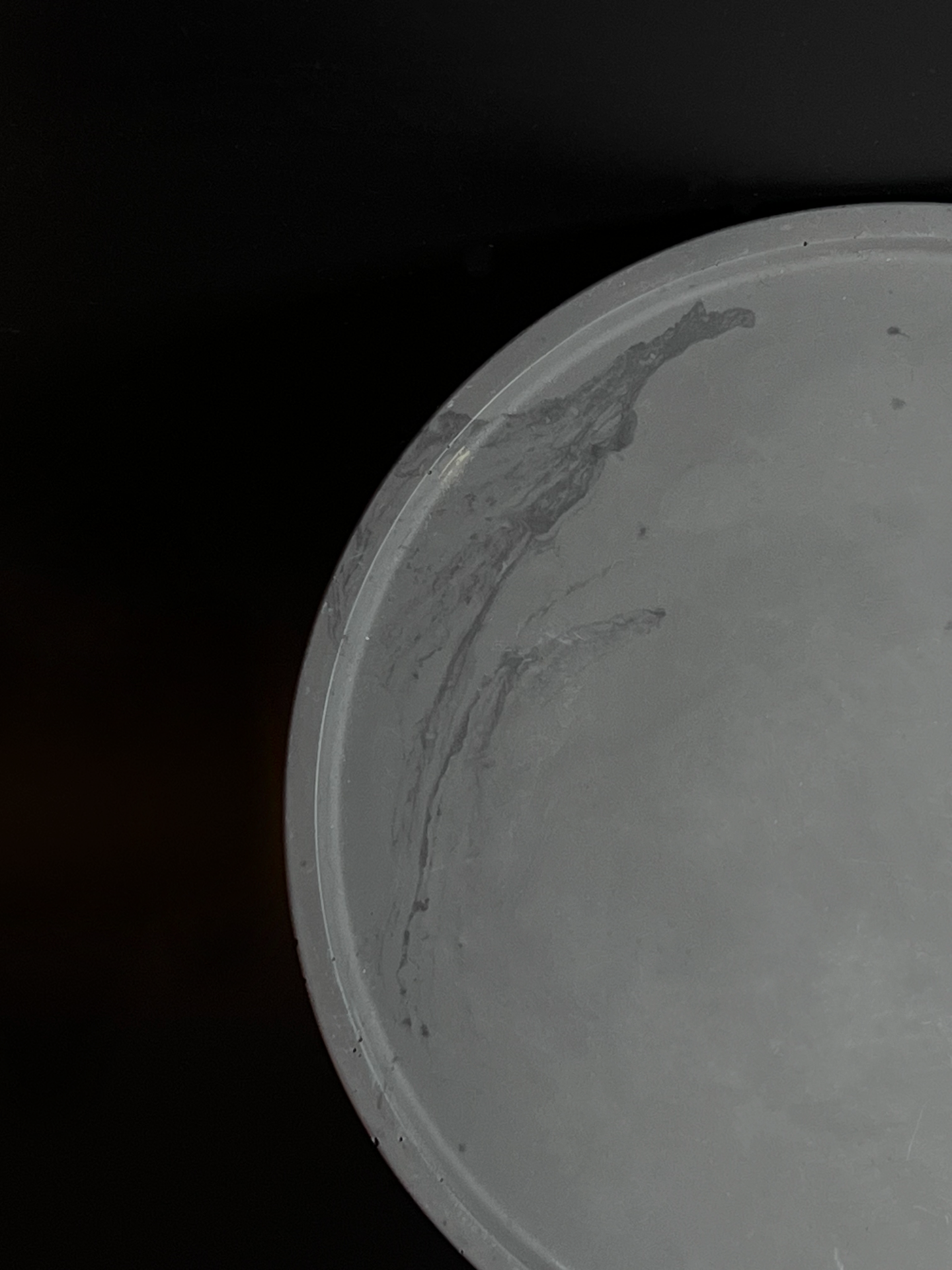 Apvalus padėklas I Grey marble with black lines